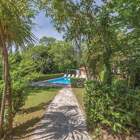 Holiday home Castelli Romani *